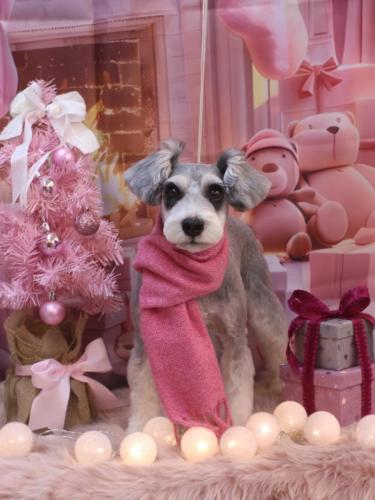 20241214ふたばちゃん